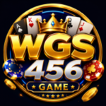 WGS456 Game