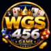WGS456 Game
