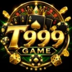 T999 Game