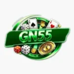 GN55 Game