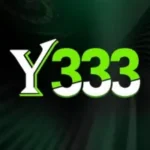 Y333 Game